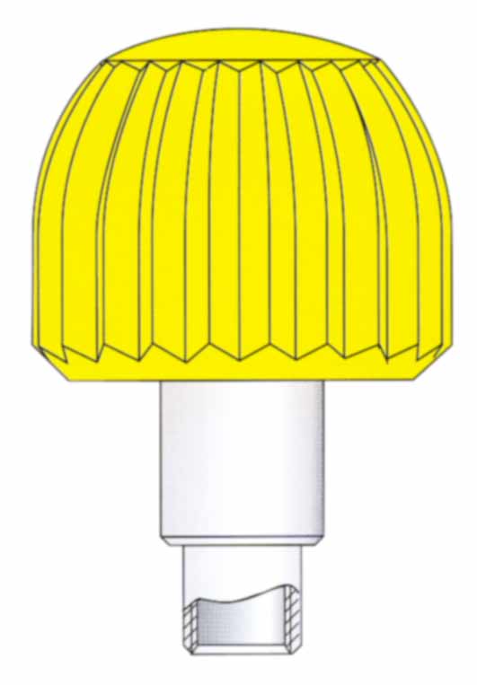 Schraubkrone vergoldet mit Tube und Dichtung