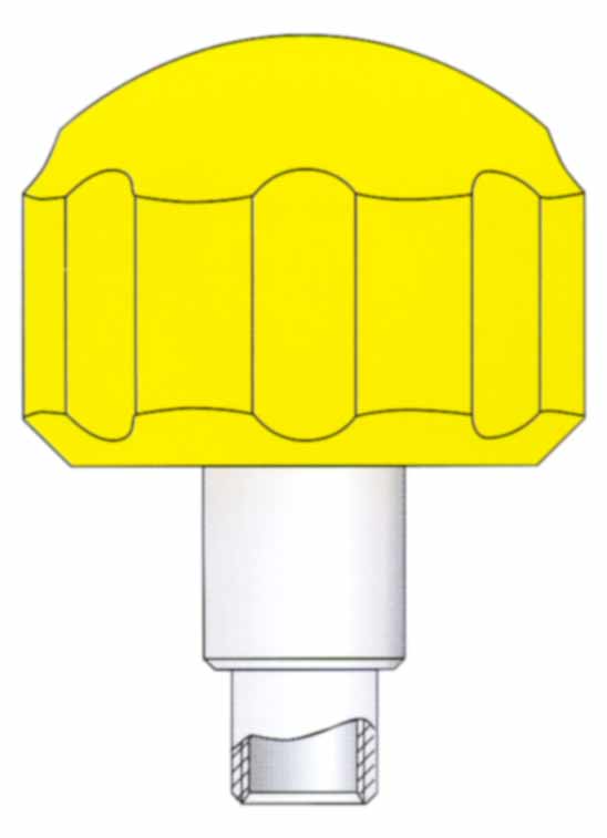 Schraubkrone vergoldet mit Tube und Dichtung